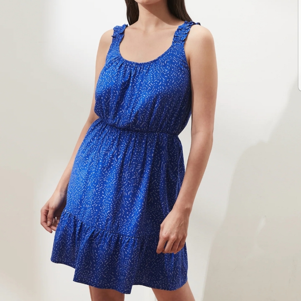 BANANA REPUBLIC RUFFLE FIT AND FLARE DRESS